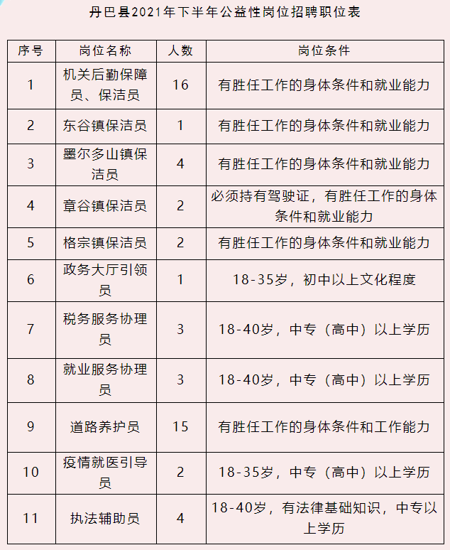 巴青县数据和政务服务局招聘公告解析