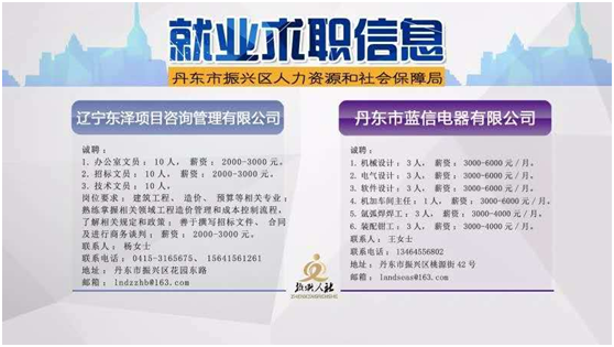 桂阳县人力资源和社会保障局招聘最新信息概览