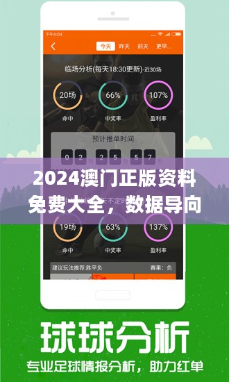 2024新澳正版资料,理论依据解释定义_专业版20.813