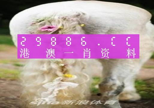 澳门一肖一码一l必开一肖,时代资料解释定义_升级版62.914