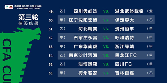 2024新澳三期必出一肖,安全性执行策略_SE版25.928