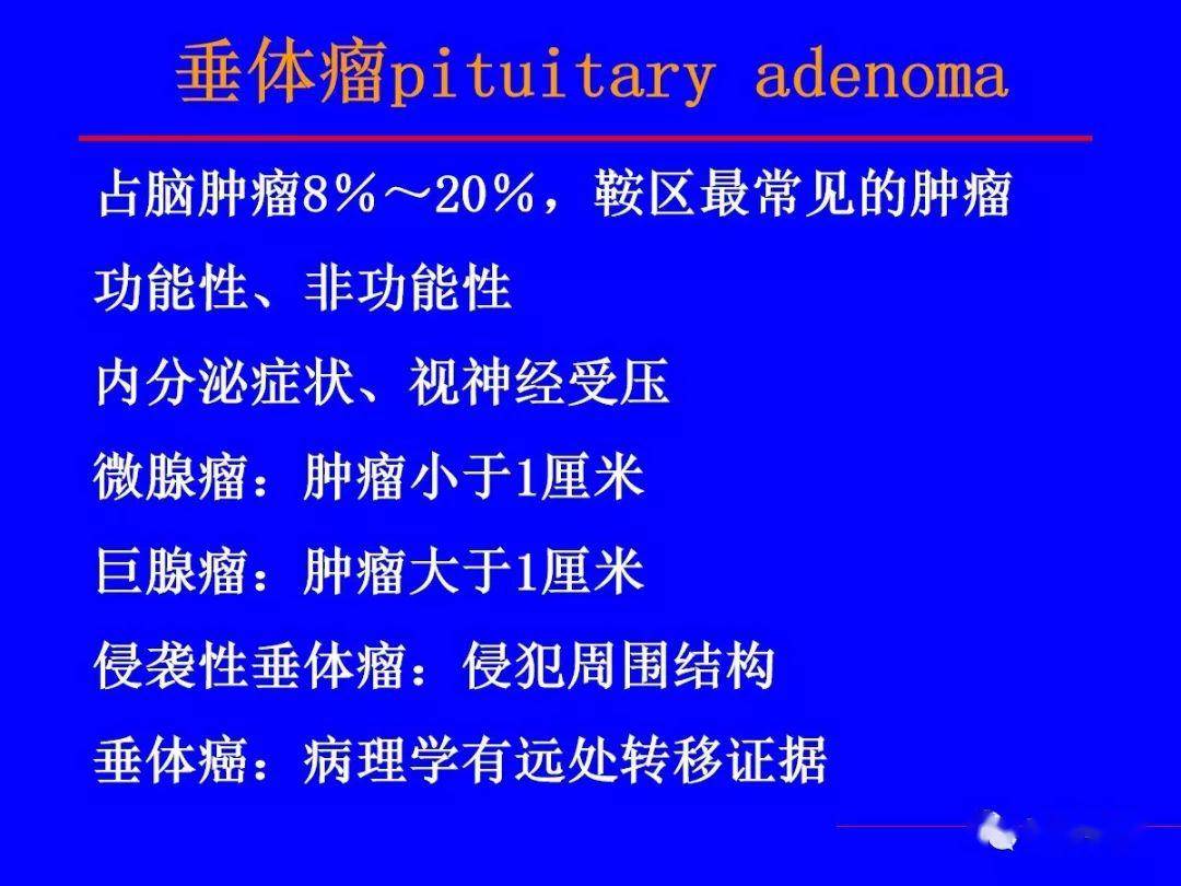 澳门最精准正最精准龙门客栈,涵盖广泛的解析方法_影像版13.744