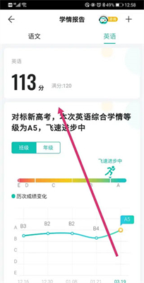 新奥2024年免费资料大全,专家解析说明_app21.118