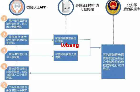 澳门管家婆资料大全正,科学依据解析说明_网红版77.22