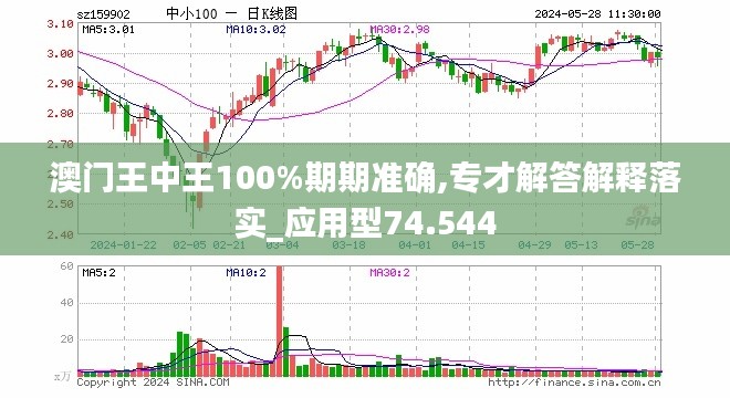 新澳门王中王100%期期中,定性说明评估_suite30.317