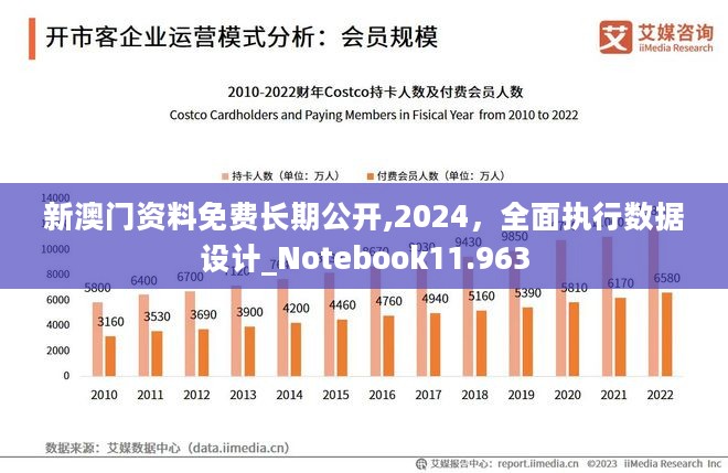 2024年澳门免费公开资料,深层设计策略数据_Holo11.651