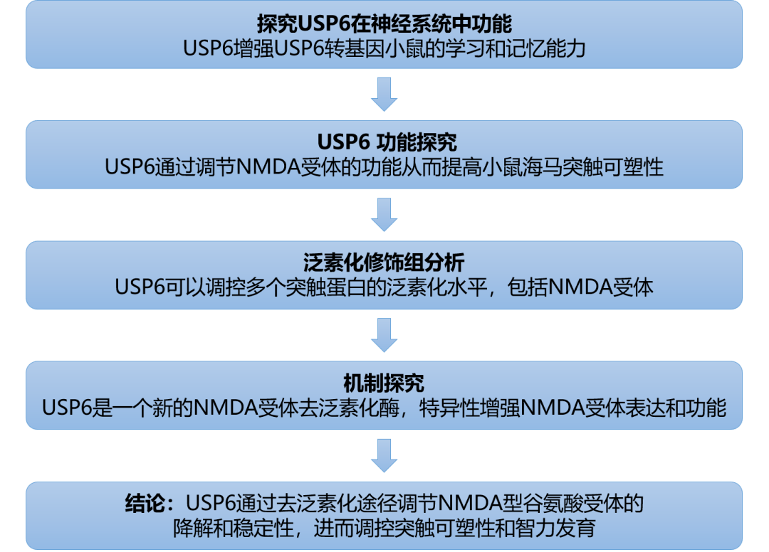 新澳资料免费大全,高度协调策略执行_VR版90.121