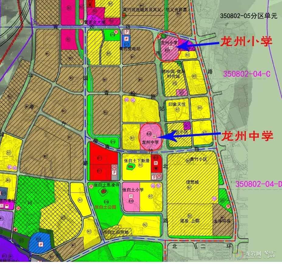 高坪区小学未来发展规划展望