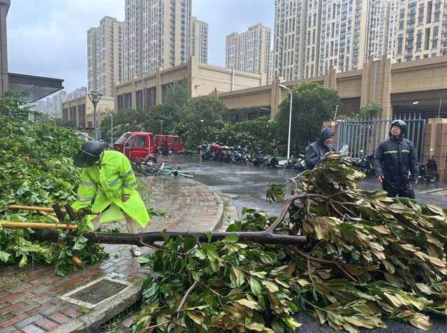 香蜜湖街道天气预报更新通知