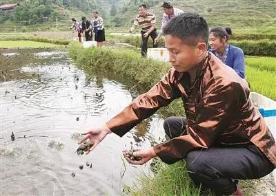 融水苗族自治县文化局领导团队全新概述