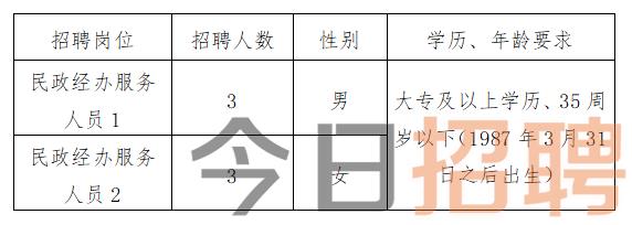 信州区数据和政务服务局招聘新资讯与解读