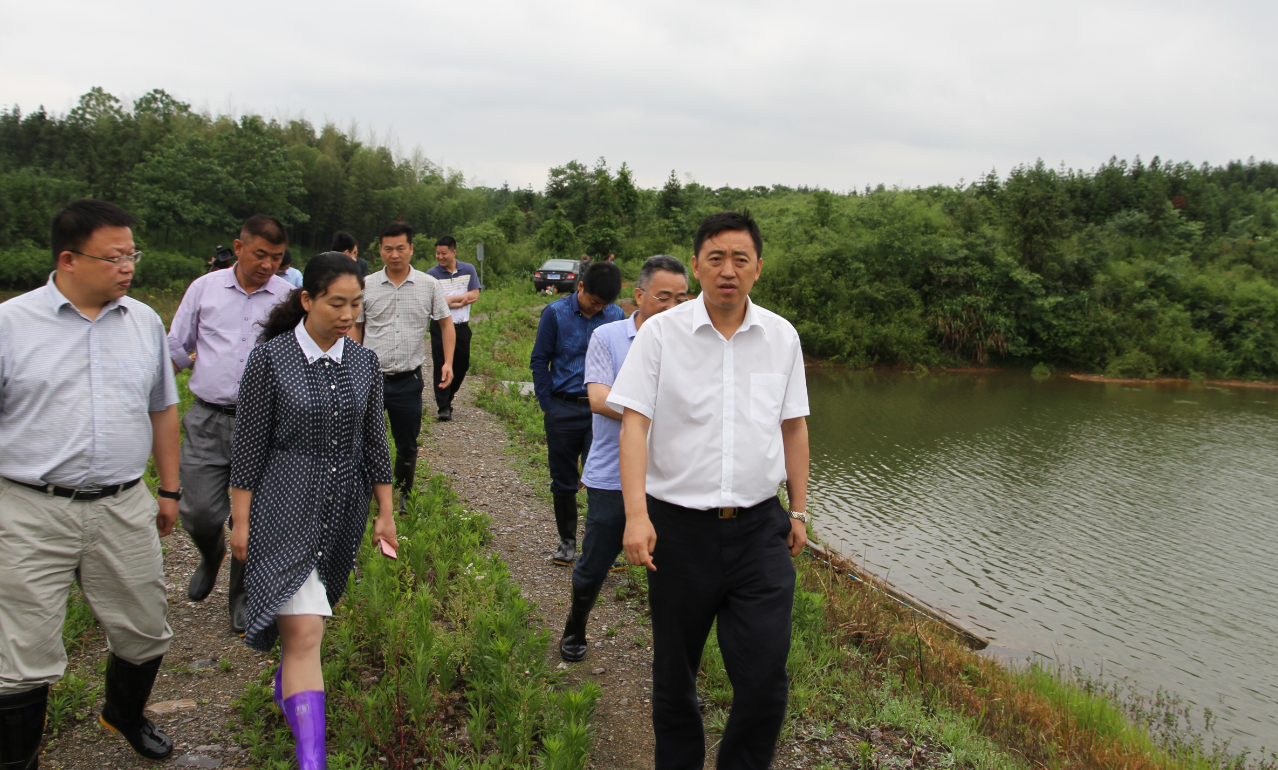 湾桥镇新领导团队引领地方发展迈上新台阶