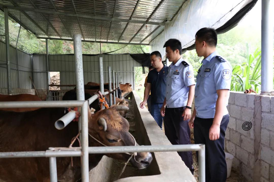 容县教育局新项目助力教育现代化进程推进