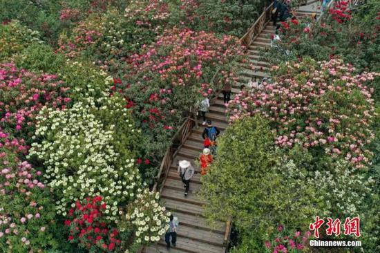 毕节市百里杜鹃景区游玩攻略大全