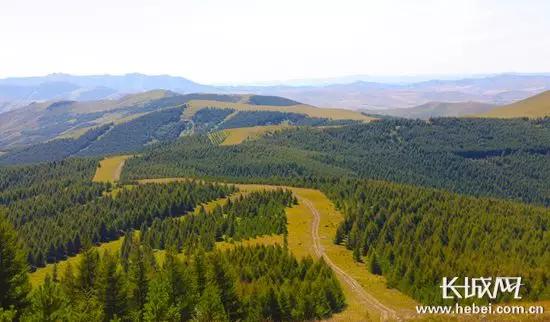 巴盟乌北林场天气预报最新分析报告