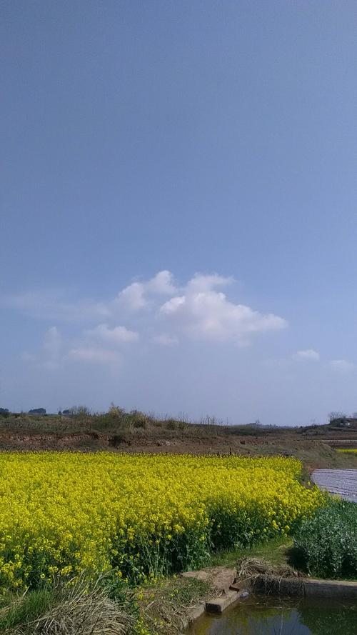 西联乡天气预报更新通知