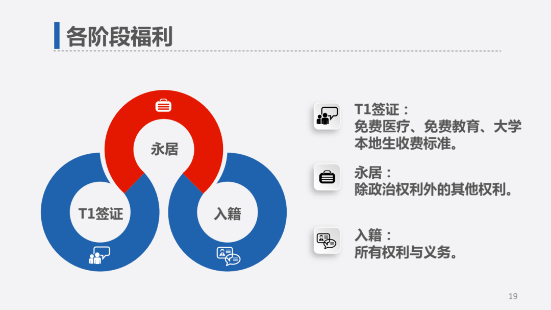 英格最新项目，科技创新的先锋力量