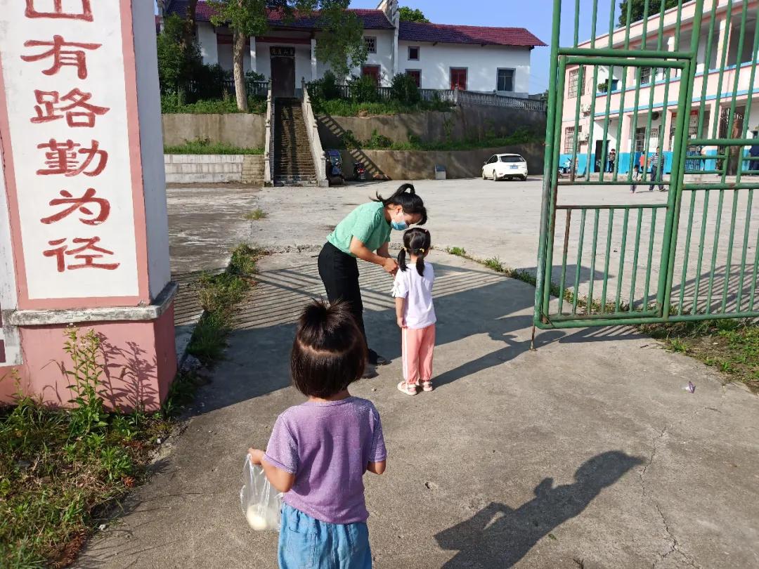 岭东区小学未来发展规划揭秘