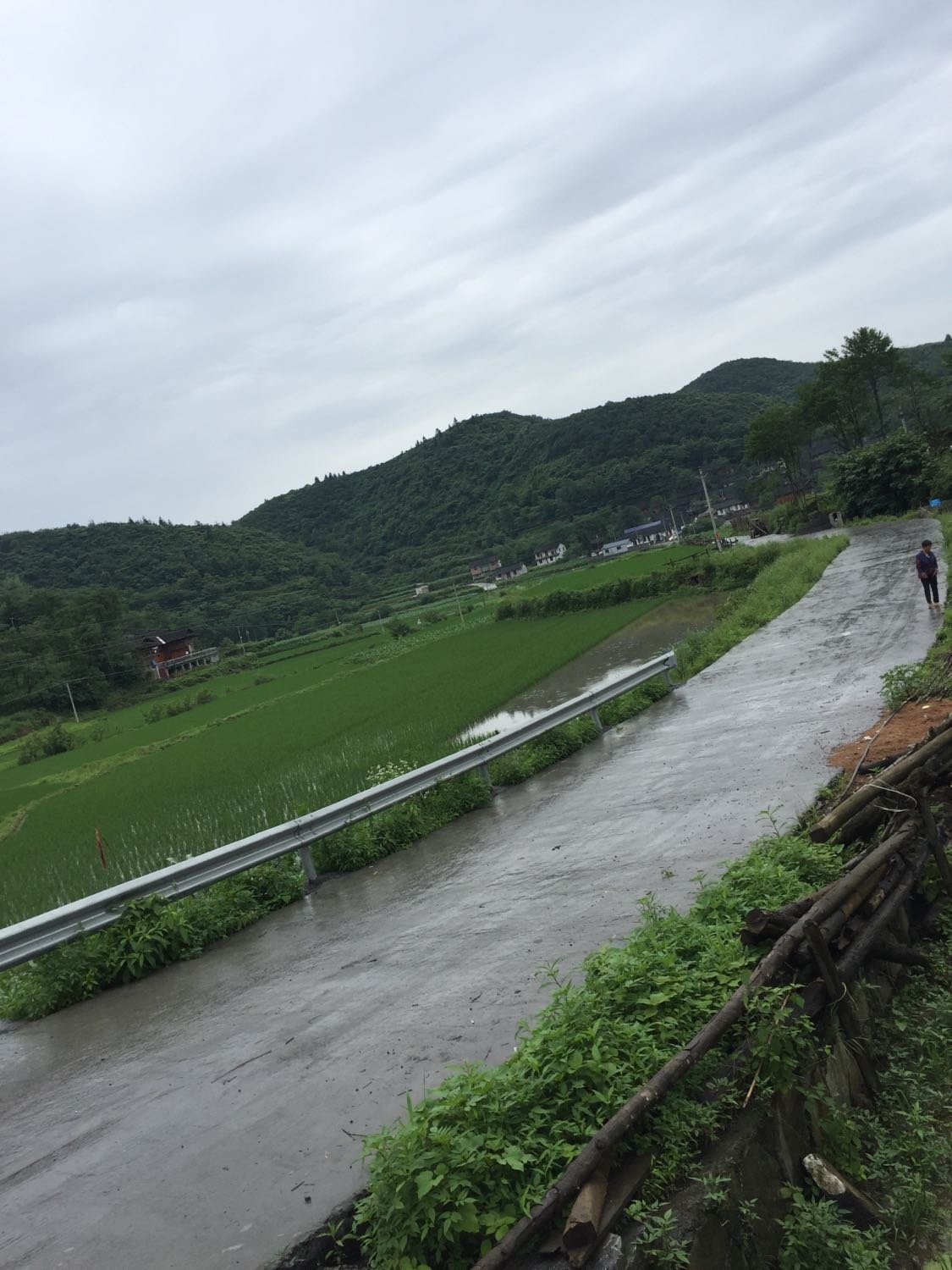 福果镇天气预报更新通知