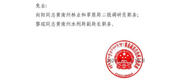 国庆村委会人事任命揭晓，塑造未来，激发新活力