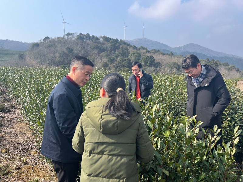 三门县农业农村局领导团队全新亮相，展望未来发展之路