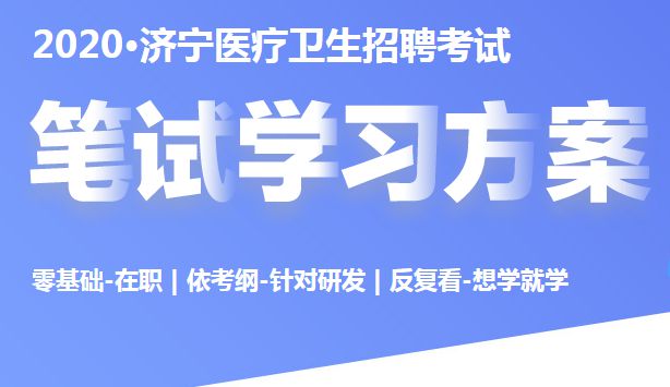 索金乡最新招聘信息全面解析