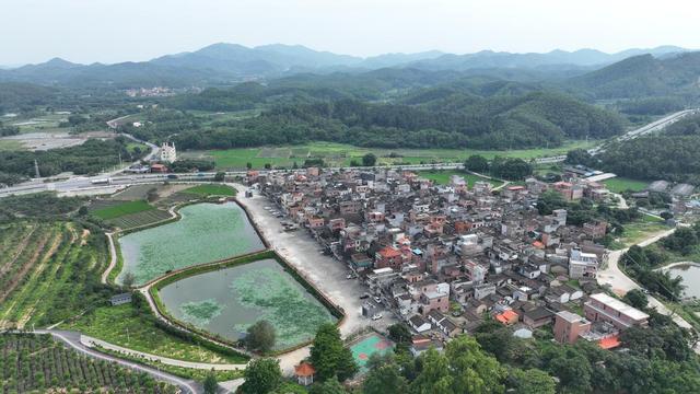 香山村新项目启动，乡村振兴新篇章