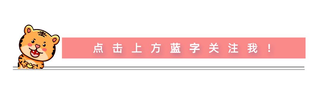 北湖区人民政府办公室最新招聘公告概览