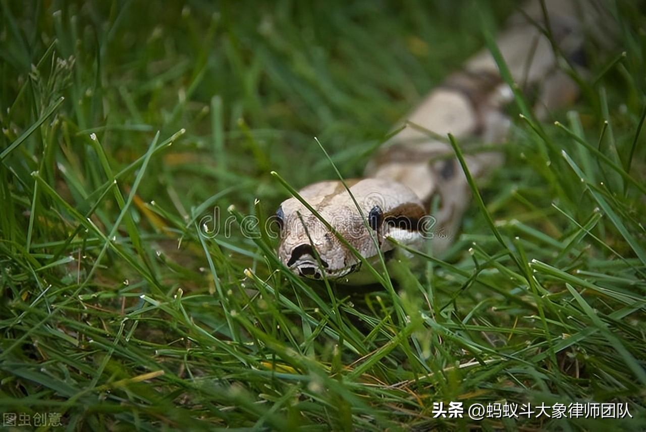 耿马傣族佤族自治县住房和城乡建设局领导团队概览