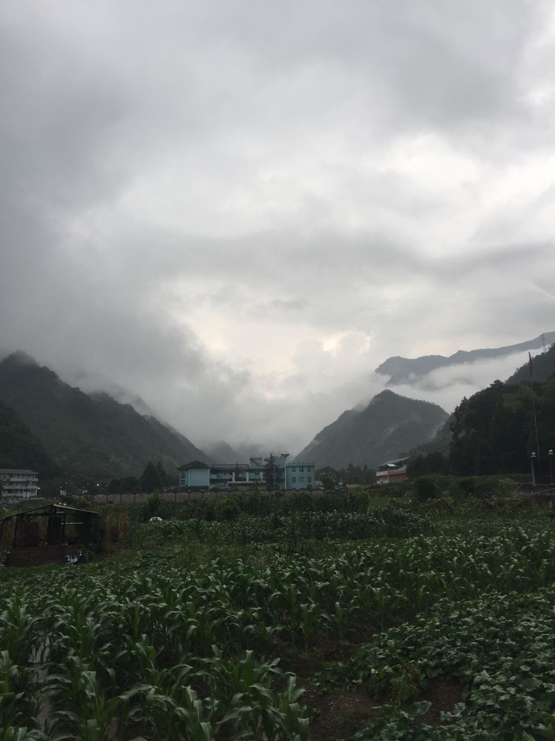 水汶镇天气预报更新通知