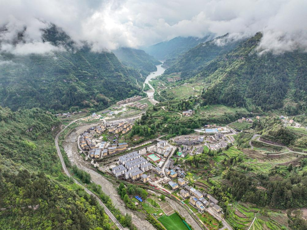 青山林场道路改造升级启幕，绿色出行新篇章开启