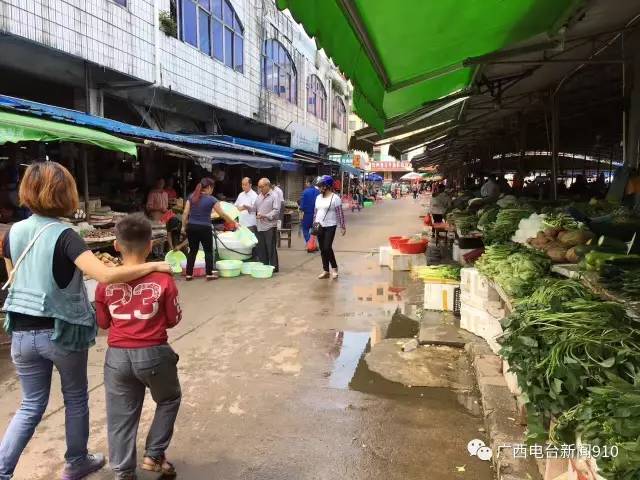 钦州港经济开发区最新新闻深度解读