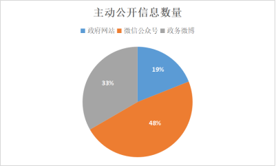 申扎县数据和政务服务局发展规划概览