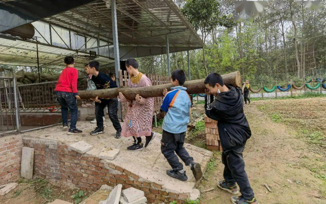 那梭农场新项目引领农业现代化新进程