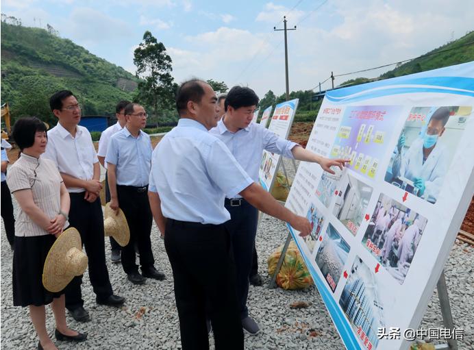 乐里镇最新发展规划概览