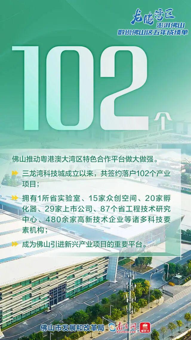 扶绥县发展和改革局最新招聘信息全面解析