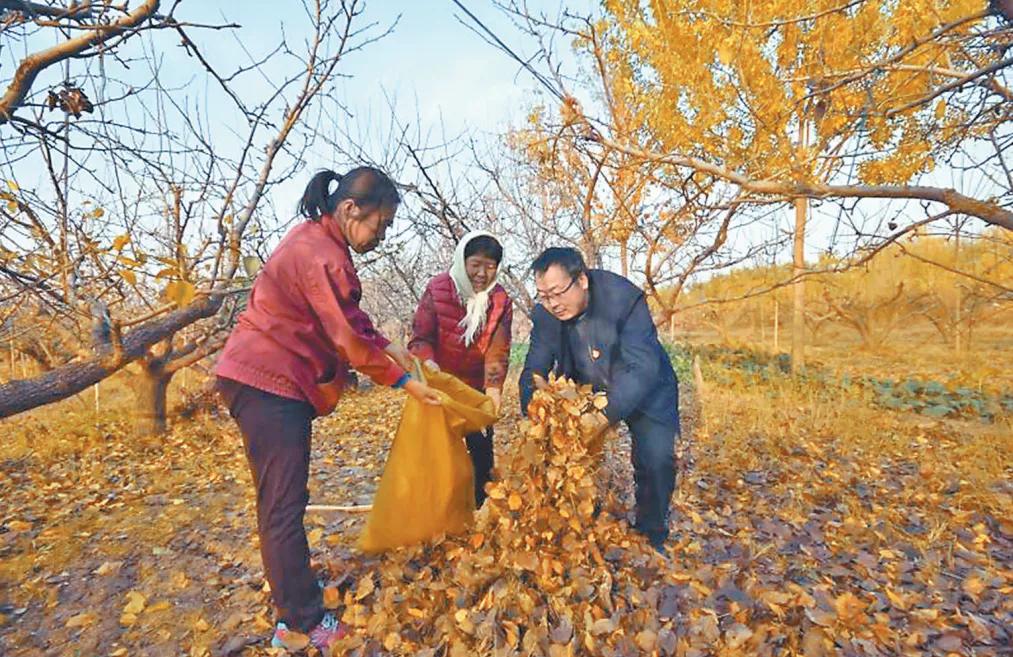 金阳县计划生育委员会最新动态报道概览